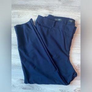 Ann Taylor Loft Skinny Navy Blue Dress Pants